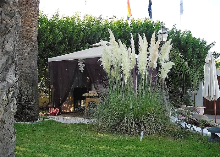 Hotel mit Hund Birdcage Gay Men &Lifestyle